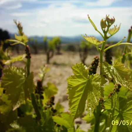 Landhaus Ca La Viola Marsá