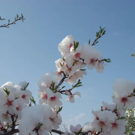 Ca La Viola Landhaus