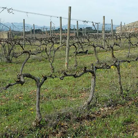 Ca La Viola Landhaus