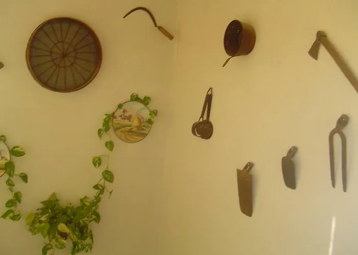 Venkovský dům Ca La Viola *