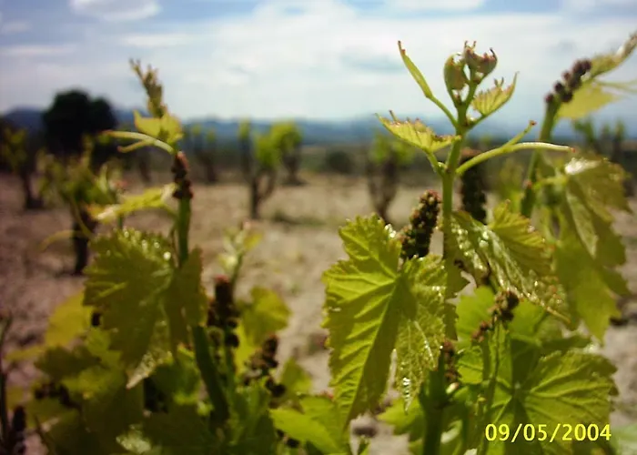 Venkovský dům Ca La Viola Marsá