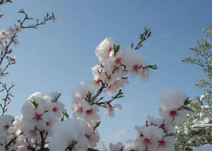 Ca La Viola Venkovský dům