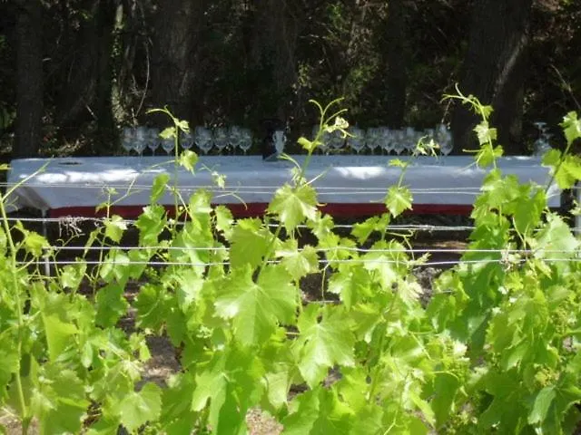 Venkovský dům Ca La Viola