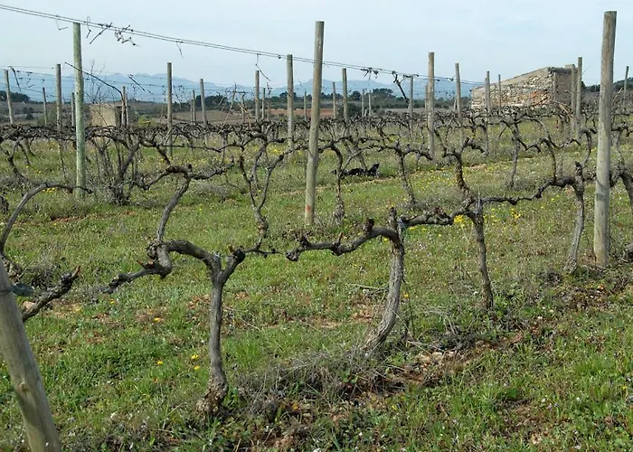 Ca La Viola Venkovský dům