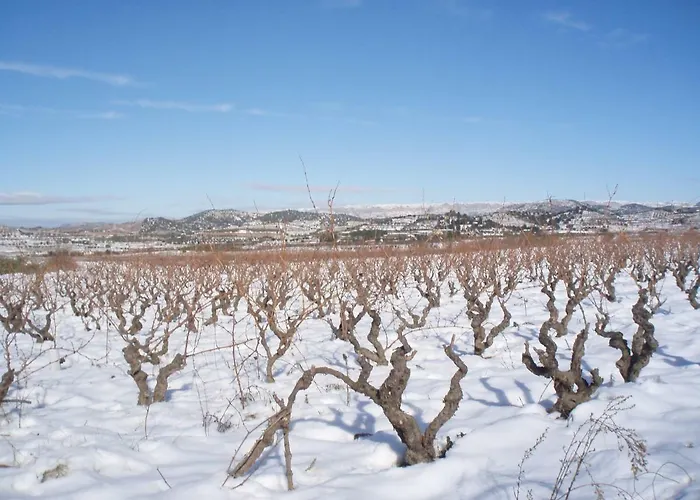Ca La Viola カントリーハウス Marsá