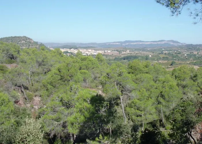 Ca La Viola カントリーハウス *